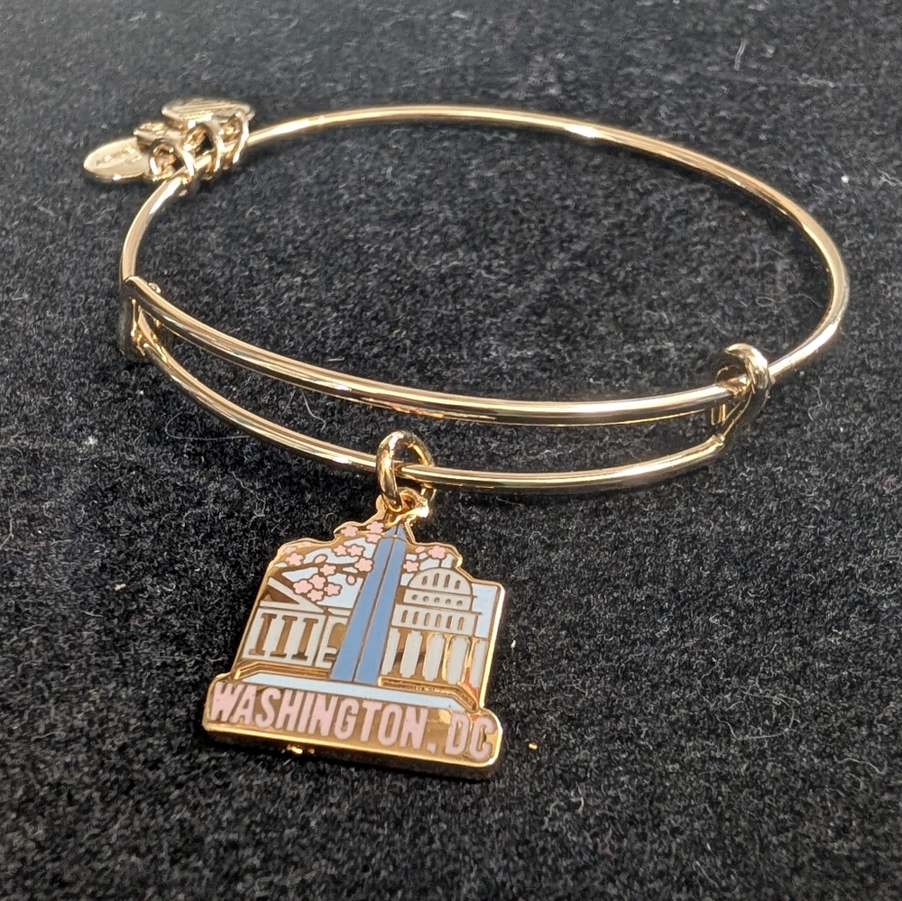 Alex And Ani Washington D.C. Charm Expandable Bangle